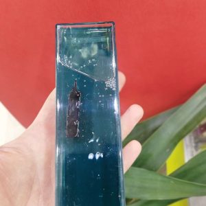 دکوری آکواریمی کشتی غرق نشو کد 309