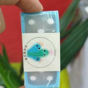 پاکن خال خالی کاکتوس کد 219
