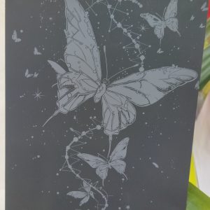 اسکرچ برد بزرگسال پروانه کد 246