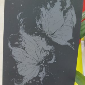 اسکرچ برد بزرگسال پروانه کد 246