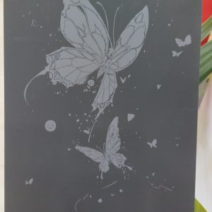 اسکرچ برد بزرگسال پروانه کد 246