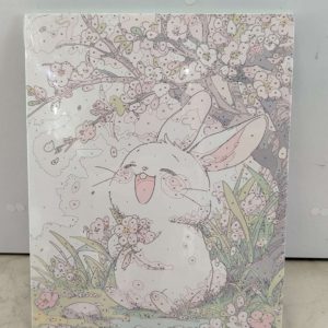 بوم نقاشی آبرنگی خرگوش 30*40 کد 852